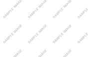 Mar10 Demo Image